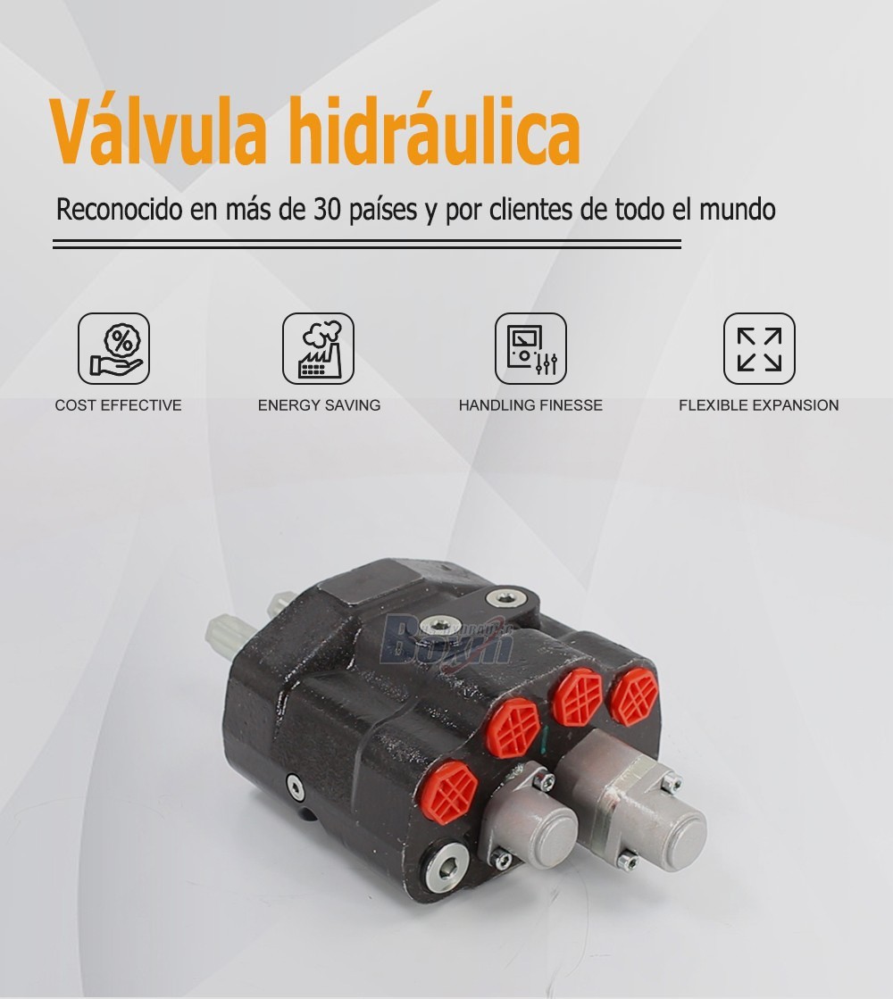 80A Series Monoblock Valve with 2 Spools for Heavy Machinery